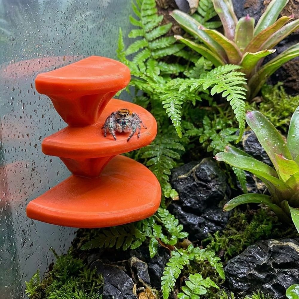 Piattaforma per arrampicata pe - 3D Printing Lizard recensione e prezzo