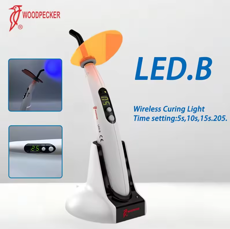 Lampada per polimerizzazione d - Resin Curing Station recensione e prezzo
