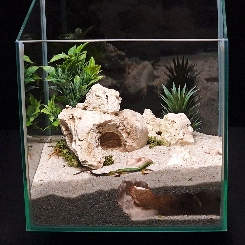 Tunnel per Acquario Stampato i - 3D Printing Lizard recensione e prezzo