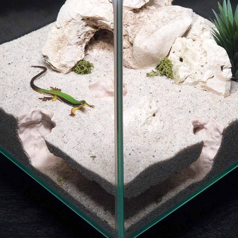 Tunnel per Acquario Stampato i - 3D Printing Lizard recensione e prezzo